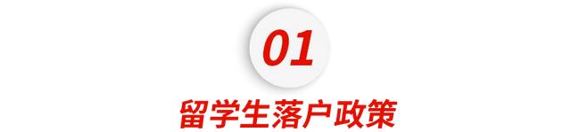 2021海归福利政策大盘点！落户、领钱、买车，留学生回国这么爽