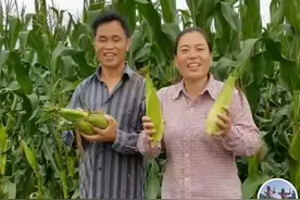 温州曳步舞农民小英夫妇：真正活得通透的人，是什么样子？图片