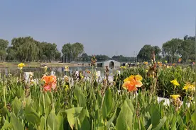 @朝阳群众，您预订的避暑圣地之郊野公园正在派送中，请查收图片