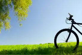 晨读 | 踏青的芥苗迎来春早图片