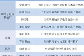 A股未来三年有望成长五倍的钠离子电池，八大潜力龙头公司图片