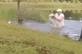 男子徒手掰开鳄鱼嘴巴，为救爱犬，他急红了眼图片