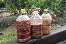 家庭沤肥的简单方法，老花友分享没那么难，新手花友也容易操作图片