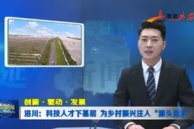 延安新闻|洛川：科技人才下基层 为乡村振兴注入“源头活水”图片