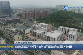 产业项目建设年丨中南高科产业园：部分厂房年底前投入使用图片