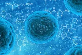 为什么不敢克隆人？看完克隆羊“多莉”的一生，或许就会明白图片