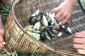 80年代农村8种捕鱼老物件，你用过几种能说出名字吗？满满的回忆图片