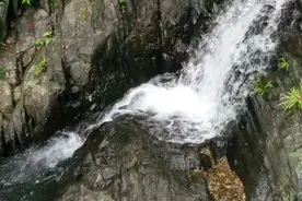 十里峡川：饮水之污图片