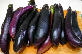 历经两季，秋天茄子能吃吗？吃了对身体有何危害？为健康别再吃错图片