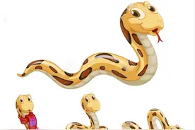 瞬间吞食美洲豹，雨林中的霸主森蚺，为何还会濒临灭绝？图片