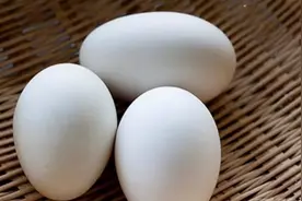 常吃鹅蛋，对身体有益还是有害？提醒：这4类人建议少吃鹅蛋为好图片