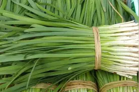 又到了腌韭菜的季节，一次秘制10斤，做法简单，放一年不坏图片