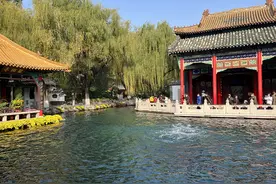 趵突泉“扫地僧”：保安郭茂福，执勤之余义务为游客当导游图片