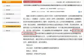又上新！樟木头旧改突破180万平，堪比6座深圳华侨城图片