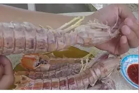 泰国的“皮皮虾”真大，老大爷煮5个只吃下3个，成都网友：换我来图片