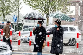 雪中行：阳春三月樱花雪，打着伞儿，做着伴儿，街头行人步履匆匆图片