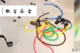 二哈刚来就把特警队“拆”成了这样！训练员一脸“生无可恋”图片