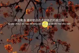 95后女生怎么找不到对象了？图片