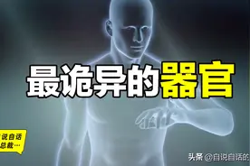 最诡异的器官，我们都被这个器官封装在超能力机甲当中图片