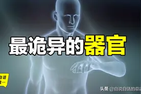 最诡异的器官，我们都被这个器官封装在超能力机甲当中图片