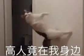 打篮球能促长高？你可能被骗了……图片