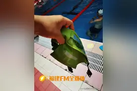 福州一男子戴着这个神器游泳，刚下水就“裂开”了图片