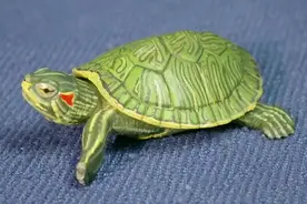 岳阳人注意！3月1日起实施！这种行为将入刑图片