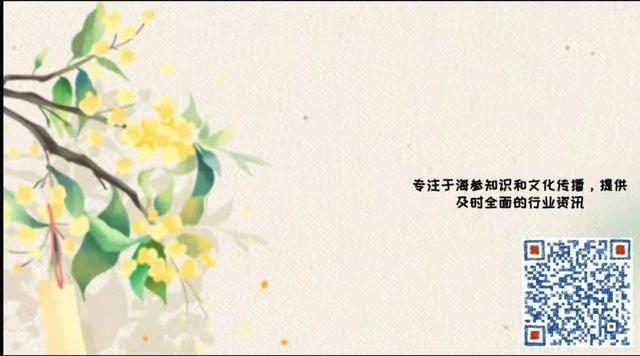 海参食谱-凉拌海参