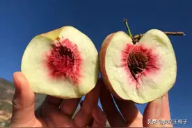 备受争议的冬桃，到底是不是转基因水果？看后记得告诉家里人图片