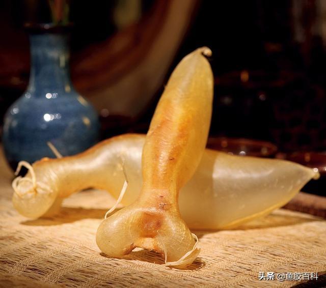 花胶要冰箱吗 2026年花胶要冰箱吗能放多久