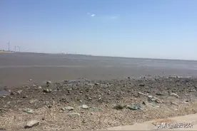 走进天津最后的小渔村，看北方最朴实的海，买3块钱一斤的海鲜图片
