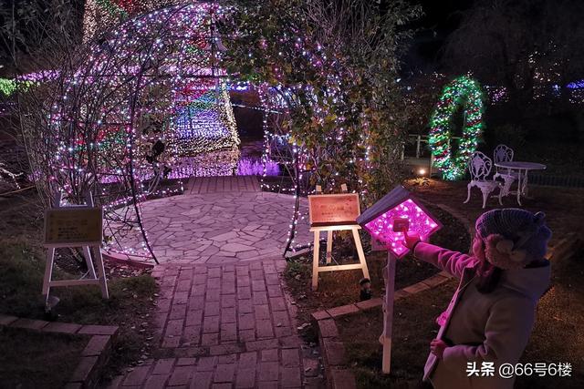 鬼灭之刃动画场景还原，日本公园展出奇迹的紫藤花