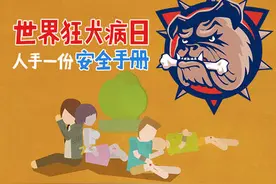 一图带你了解狂犬病图片