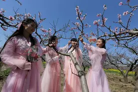 桃花朵朵开 赏花等你来 第十七届西华桃花节盛大开幕图片