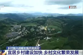 全国农村居民人均可支配收入达到16021元图片