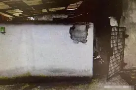 精神病女孩被父母锁在出租屋，熟人却翻墙对其侵犯，称：她主动的图片