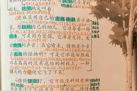 四年级语文上册十六课《麻雀》课文笔记，自主预习的好帮手图片