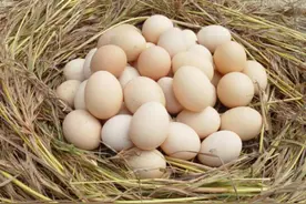 夏天，鸡蛋别放冰箱了！外婆教我2个方法，1个月不坏，和鲜蛋一样图片