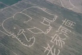 不辞长作河南人图片