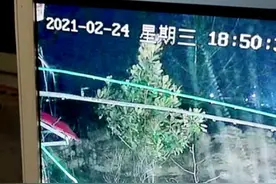 杨树行流量博弈（21）拉面哥签约满4个月，黄二蛋终于开始爆猛料图片