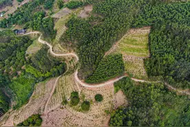 南宁经开区：数说脱贫攻坚（对口帮扶）图片