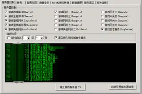 你从来没见过的传奇私服服务器图片