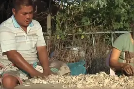 “20万包娶到家，跑一个赔一个”，为你揭开越南新娘真实面目图片