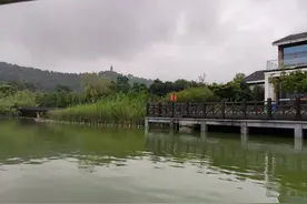 星期一的苏州上方山动物园图片
