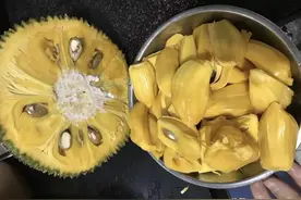 只要掌握菠萝蜜的正确剥法，像削苹果一样简单，不难处理也不粘手图片