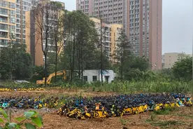 民情12345｜荒地堆放上千辆共享电单车？部门回应：违规投放，正联合执法整治！图片