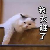 烫发洗后怎么打理卷发（烫发后如何护理）