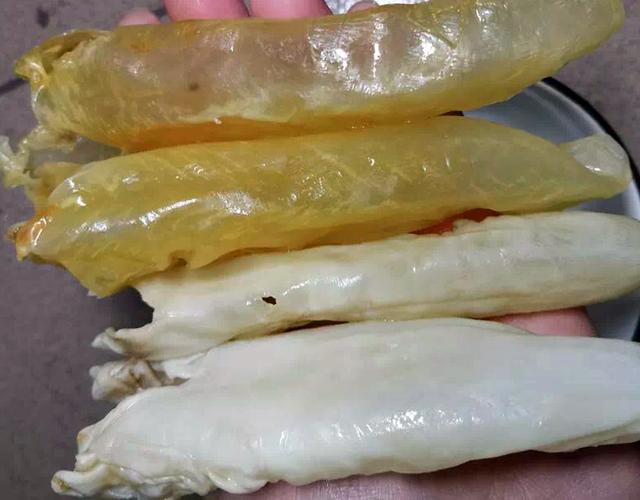 鲜鱼制作花胶 2026年鲜鱼制作花胶视频 鲜鱼制作花胶 2026年鲜鱼制作花胶视频