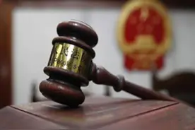 “法务总监”的逃亡人生——第二批“红通”归国投案第一人审判纪实图片