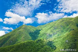 民间故事：男孩山中遇虎崽，抱回家当狗养，多年后驮来一个美娇妻图片